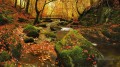 Feuilles d’automne Flux brisé Paysage Peinture à partir de Photos à Art